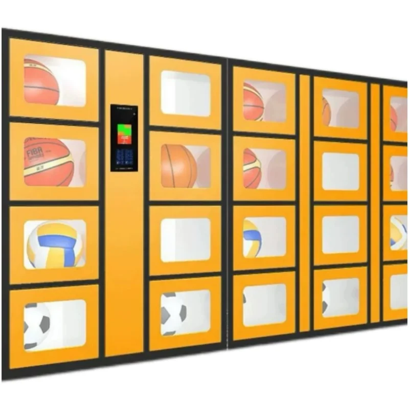 24-hour Smart Sports Equipment - огляд і ціна Sports Equipment Locker